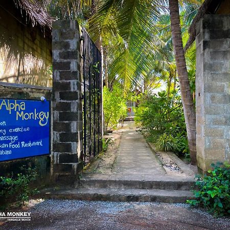 The Alpha Monkey Hotel & Tree House 坦加拉 外观 照片
