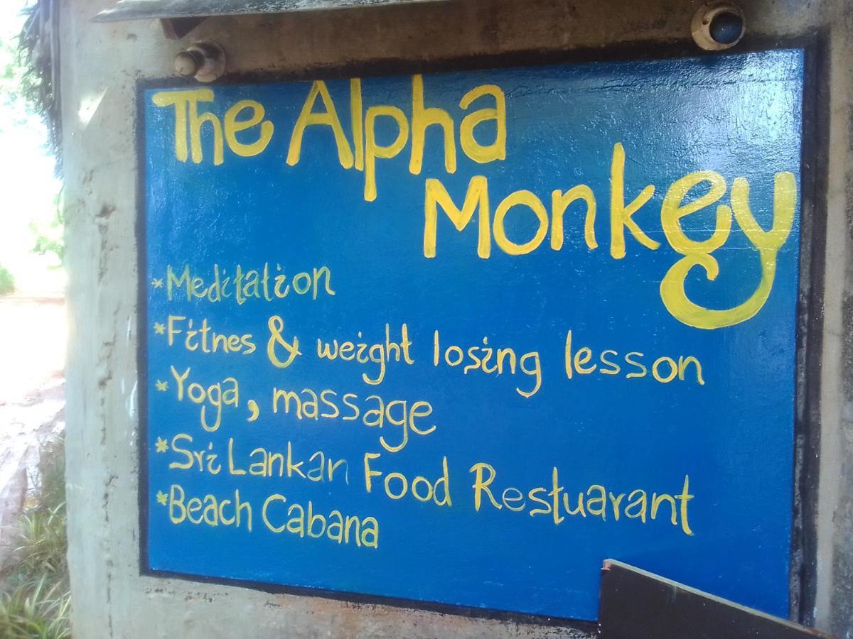 The Alpha Monkey Hotel & Tree House 坦加拉 外观 照片