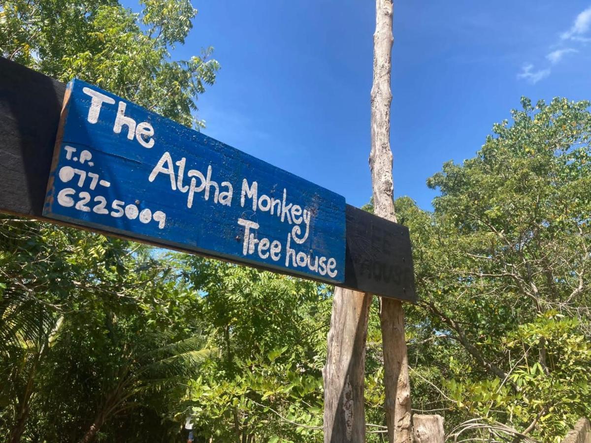 The Alpha Monkey Hotel & Tree House 坦加拉 外观 照片