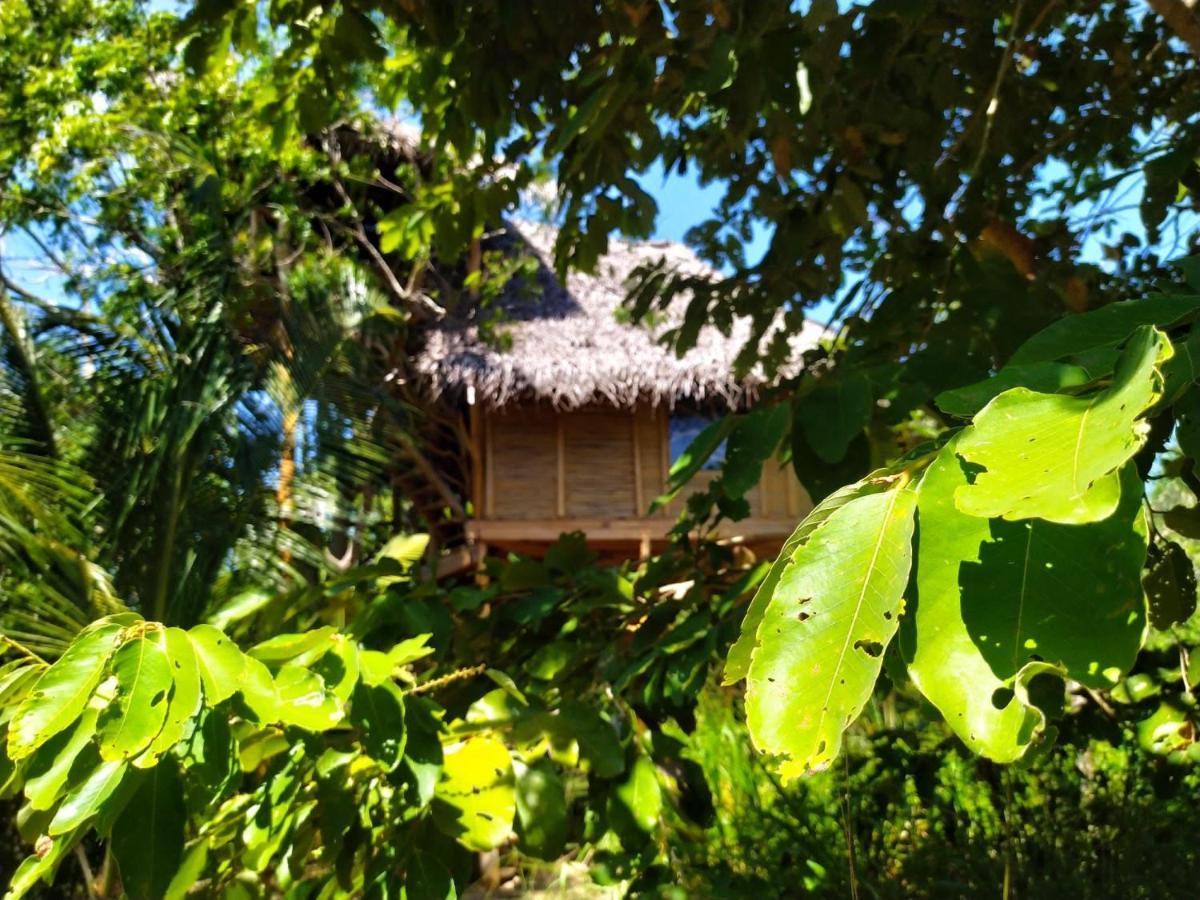 The Alpha Monkey Hotel & Tree House 坦加拉 外观 照片
