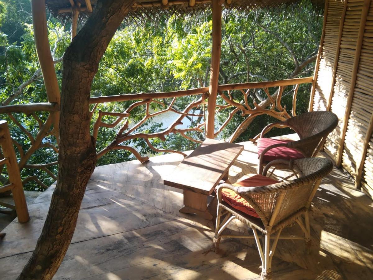 The Alpha Monkey Hotel & Tree House 坦加拉 外观 照片