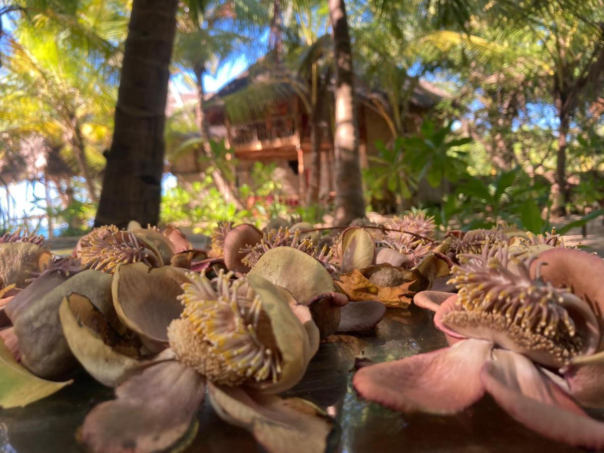The Alpha Monkey Hotel & Tree House 坦加拉 外观 照片