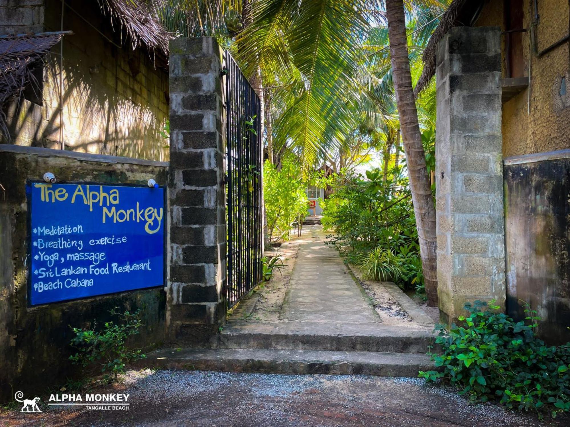 The Alpha Monkey Hotel & Tree House 坦加拉 外观 照片