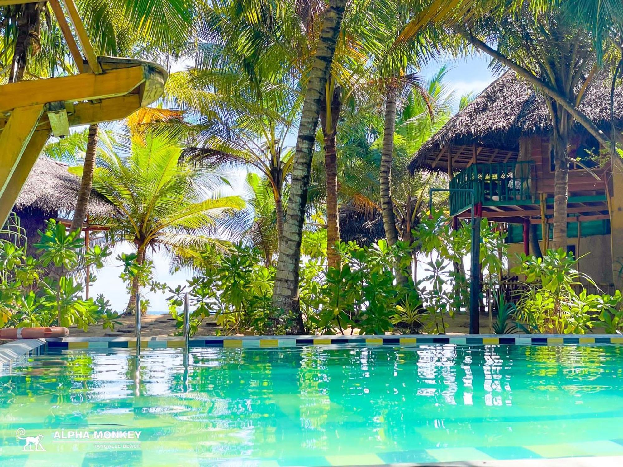 The Alpha Monkey Hotel & Tree House 坦加拉 外观 照片