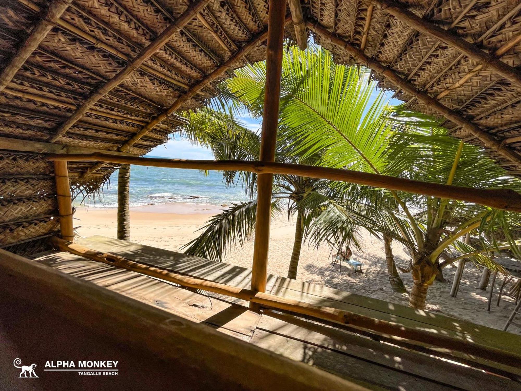 The Alpha Monkey Hotel & Tree House 坦加拉 外观 照片