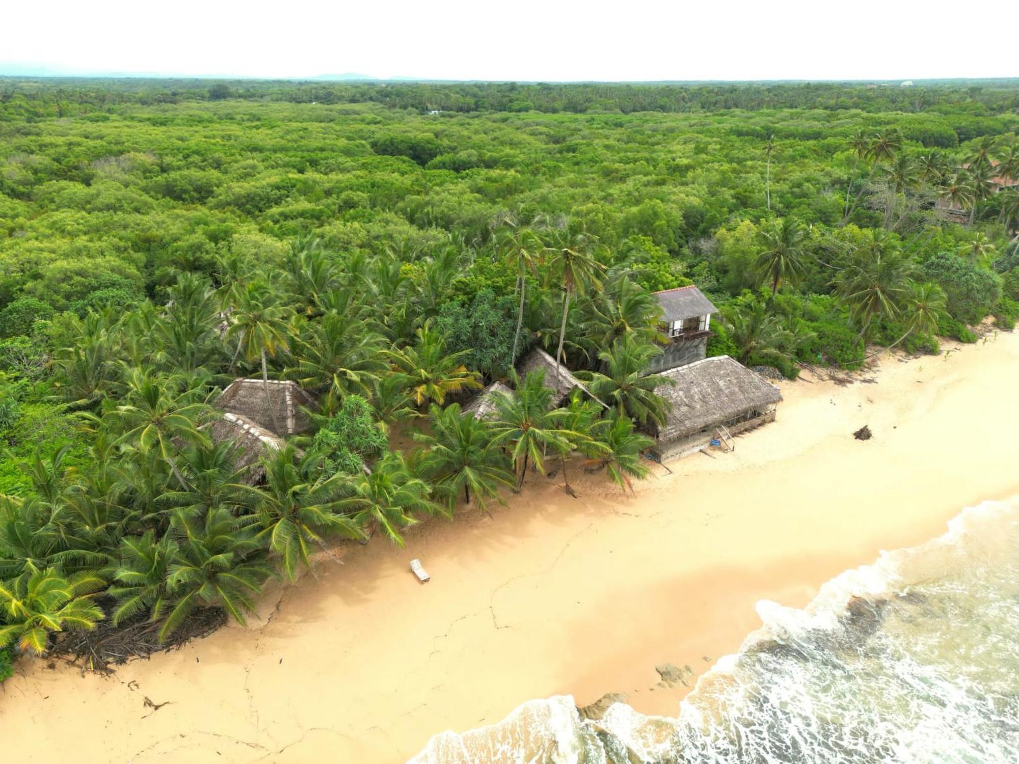 The Alpha Monkey Hotel & Tree House 坦加拉 外观 照片