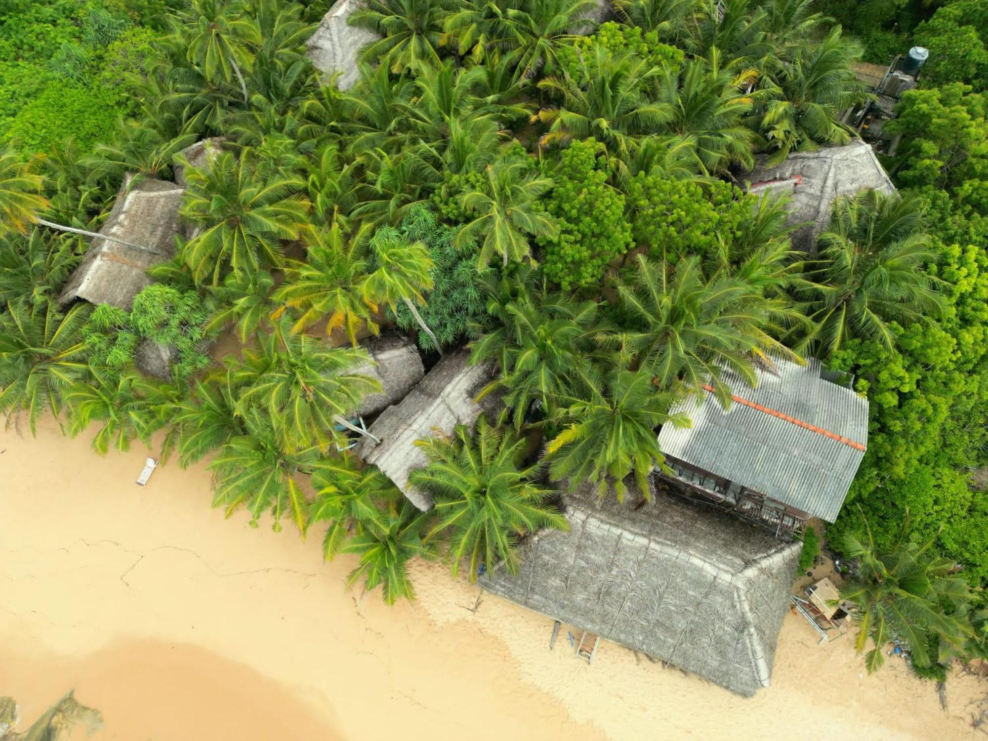 The Alpha Monkey Hotel & Tree House 坦加拉 外观 照片