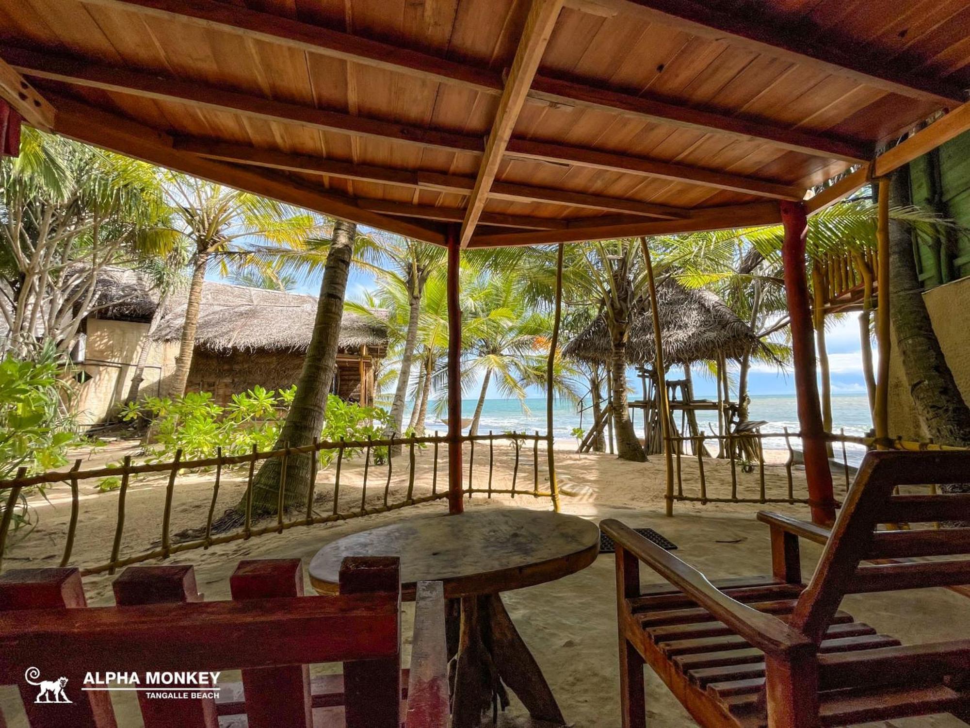 The Alpha Monkey Hotel & Tree House 坦加拉 客房 照片
