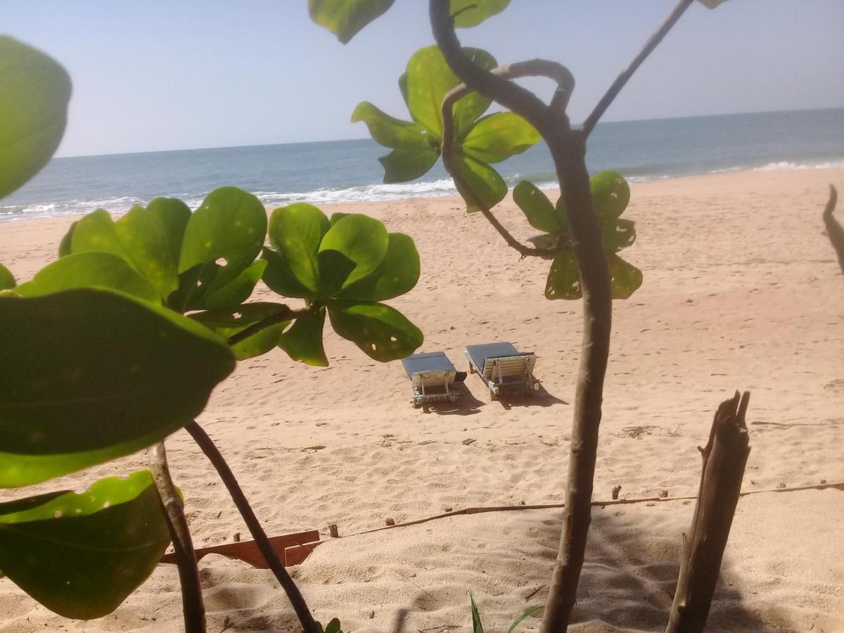 The Alpha Monkey Hotel & Tree House 坦加拉 外观 照片